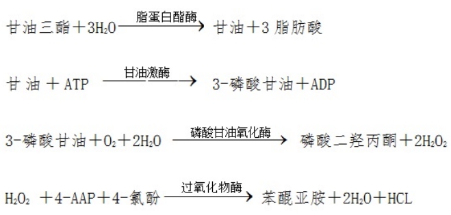 甘油三酯測定試劑盒注冊技術審查指導原則（2016年第29號）(圖1)