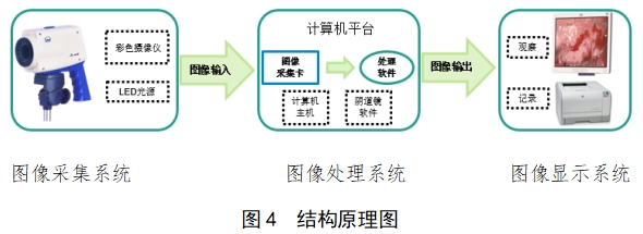 電子陰道顯微鏡注冊(cè)技術(shù)審查指導(dǎo)原則（2018年第15號(hào)）(圖3)