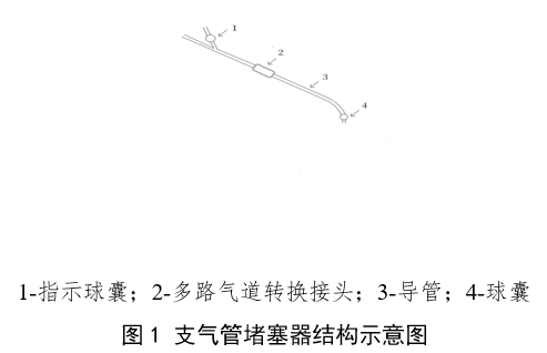 支氣管堵塞器注冊(cè)審查指導(dǎo)原則（2024年第19號(hào)）(圖1)