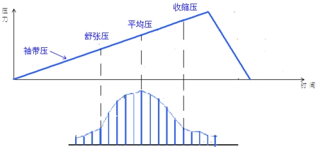 電子血壓計(jì)（示波法）注冊(cè)審查指導(dǎo)原則（2024年修訂版）（2024年第21號(hào)）(圖2)