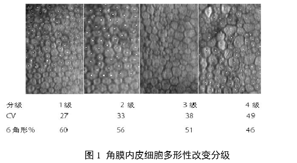 接觸鏡護(hù)理產(chǎn)品注冊審查指導(dǎo)原則（2023年修訂版）（2023年第9號）(圖12)