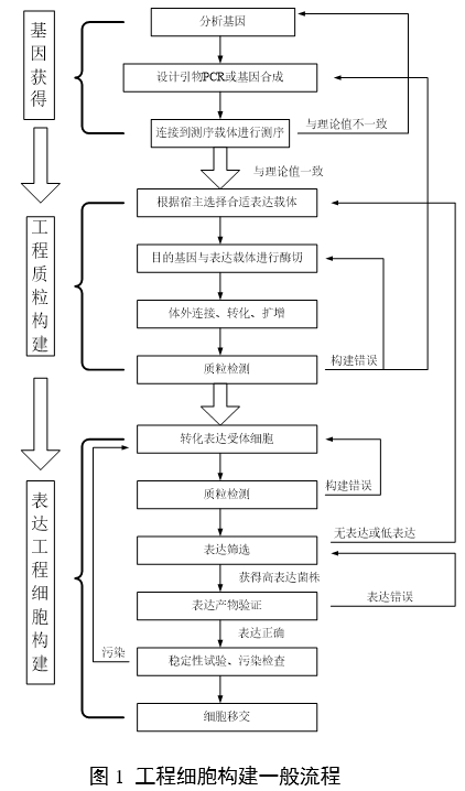 重組人源化膠原蛋白原材料評(píng)價(jià)指導(dǎo)原則（2023年第16號(hào)）(圖3)