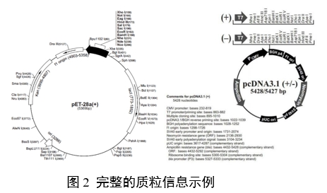 重組人源化膠原蛋白原材料評(píng)價(jià)指導(dǎo)原則（2023年第16號(hào)）(圖6)