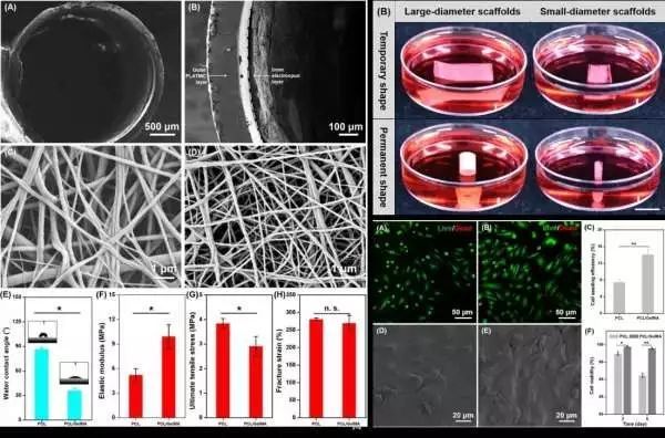 生物相容性是什么？如何準(zhǔn)備生物相容性檢測(cè)的樣品？(圖2)