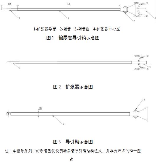 一次性使用輸尿管導引鞘注冊審查指導原則（2021年第102號）(圖2)