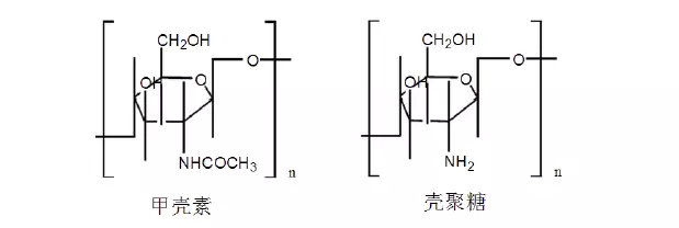 可吸收高分子材料介紹及其在植入醫(yī)療器械中的應(yīng)用(圖2)