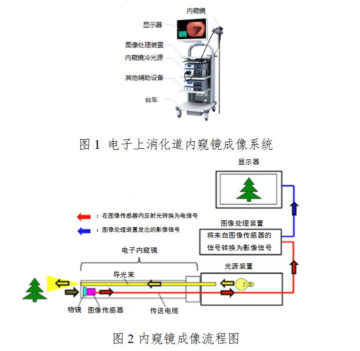 電子上消化道內(nèi)窺鏡注冊(cè)技術(shù)審查指導(dǎo)原則（2020年第87號(hào)）(圖2)