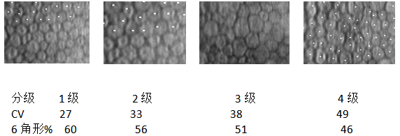 接觸鏡護(hù)理產(chǎn)品注冊技術(shù)審查指導(dǎo)原則（食藥監(jiān)辦械函[2011]116號(hào)）(圖3)