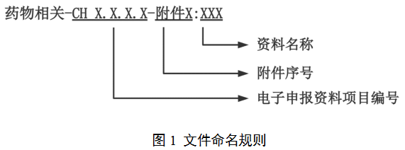 以醫(yī)療器械作用為主的藥械組合產(chǎn)品注冊(cè)審查指導(dǎo)原則（2022年第3號(hào)）(圖1)