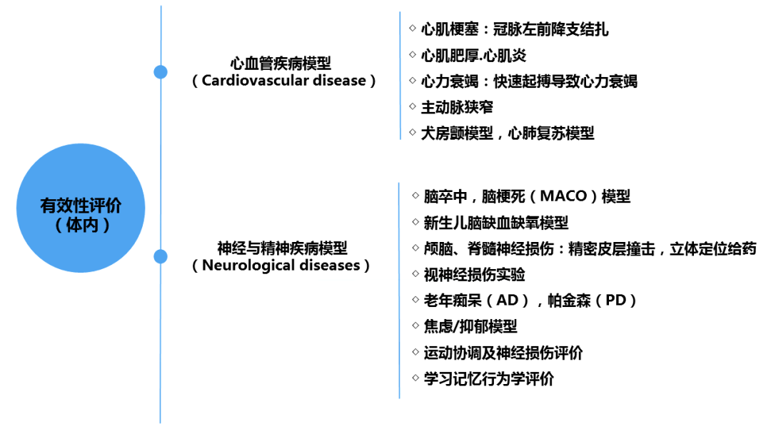 美容類醫(yī)療器械注冊申報關注要點(圖6)