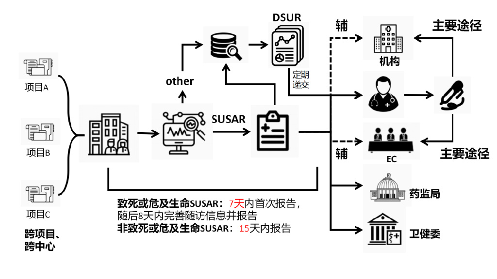 臨床試驗安全性事件如何上報？臨床試驗不良事件上報流程圖(圖3)